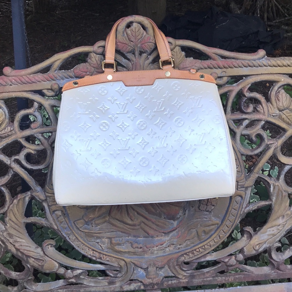 Louis Vuitton Brea purse